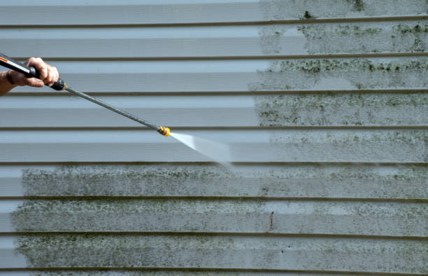 Best Home Mold Removal  in Tokeneke, CT