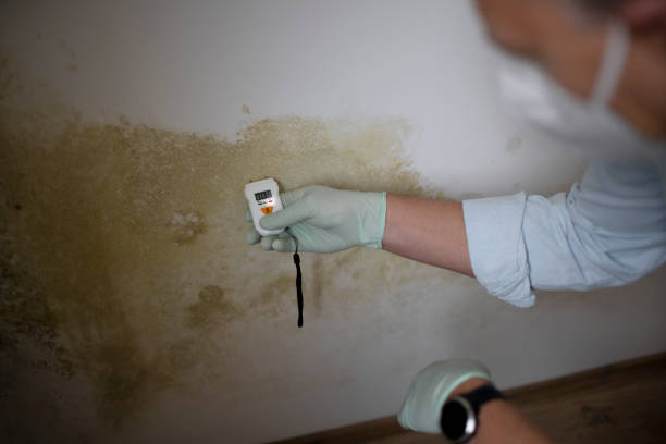 Best Office Mold Removal Services  in Tokeneke, CT