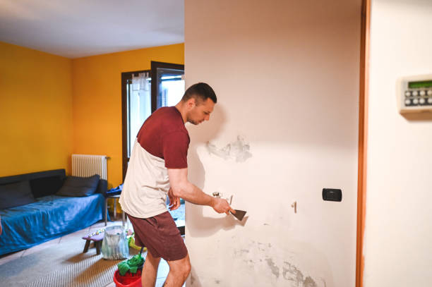 Best Mold Removal Process  in Tokeneke, CT