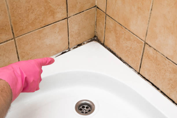 Best Office Mold Removal Services  in Tokeneke, CT